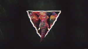Elephant, Artist, Artwork, Digital Art, 4K wallpaper