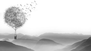 Dandelion, Air Balloon, Artist, Artwork, Digital Art, Monochrome, Black And White, 4K wallpaper