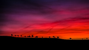 Morning, Nature, Scenery, 4K wallpaper