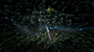 Aerial, Forest, Nature, Photography, Behance, 4K wallpaper