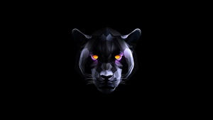 Black Panther, Black background, AMOLED, 4K wallpaper