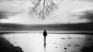 Photography, Tree, Person, Monochrome, Black And White, 4K wallpaper