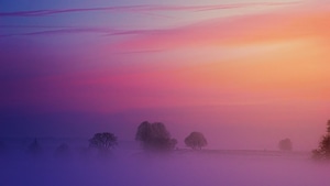 Morning, Nature, 4K wallpaper