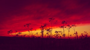 Poland, Sunset, Evening, Nature, 4K wallpaper