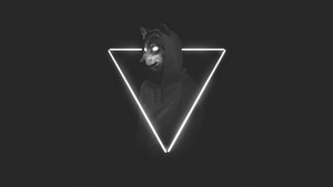 Hoodie, Photography, Wolf, 4K wallpaper