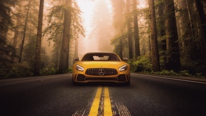 Mercedes-Benz AMG GT R, Sports coupe, Forest, Road, 4K wallpaper
