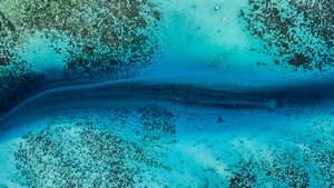 Drone View, Ocean, Nature, 4K wallpaper