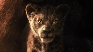 The Lion King, Lion, 2019 Movies, Movies, Disney, Simba, Deviantart, 4K wallpaper