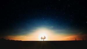 Tree, Landscape, Nature, Dark, Photography, 4K wallpaper