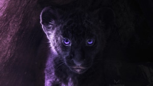 The Lion King, Lion, 2019 Movies, Movies, Disney, Simba, Deviantart, 4K wallpaper