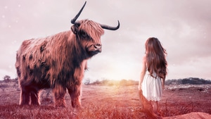 Child, Bull, Fantasy, Photography, Little Girl, 4K wallpaper