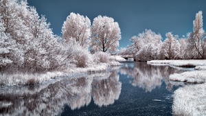 Lake, Winter, Trees, Nature, Snow, Ice, 4K wallpaper