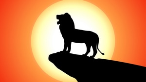 The Lion King, Lion, 2019 Movies, Movies, Disney, 4K wallpaper
