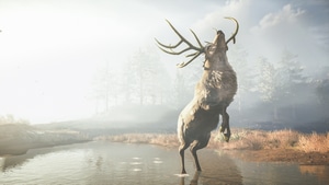 Assassins Creed Odyssey, Assassins Creed, 2018 Games, Games, Reindeer, 4K wallpaper