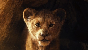 The Lion King, Lion, 2019 Movies, Movies, Disney, Simba, 4K wallpaper