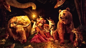 Playing violin, Midnight, Bear, Fox, Giraffe, Deer, Forest, Rabbit, Surreal, Dream, 4K wallpaper