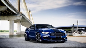 Ford Mustang Shelby GT350, Muscle cars, 4K wallpaper