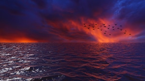 Waves, Sky, Birds, Nature, 4K wallpaper