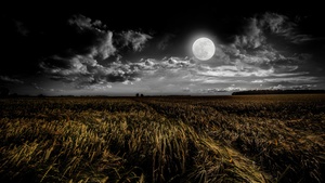 Full moon, Grass field, Landscape, Night, Dusk, 4K wallpaper
