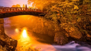 Bridge, River, Nature, Photography, 4K wallpaper