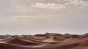 Desert, Landscape, Nature, Morning, 4K wallpaper