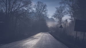 Road, Tree, Mist, Nature, 4K wallpaper