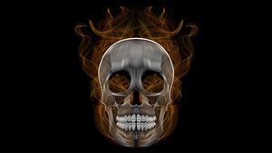 Skull, Artwork, Digital Art, Behance, Illustration, 4K wallpaper