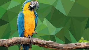 Parrot, Macaw, Birds, Artist, Artwork, Digital Art, Behance, 4K wallpaper
