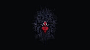 Spiderman, Superheroes, Minimalism, Minimalist, Artist, Artwork, Digital Art, 4K wallpaper