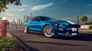 Ford Mustang Shelby GT350, Muscle sports cars, 4K wallpaper