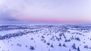 Snow, Field, Nature, Aerial, 4K wallpaper