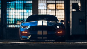 Ford Mustang Shelby GT350, American muscle car, Muscle sports cars, 4K wallpaper