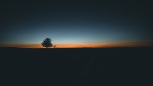Landscape, Tree, Nature, 4K wallpaper