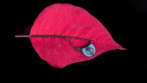 Leaf, Oled, Photography, Dark, Black, 4K wallpaper