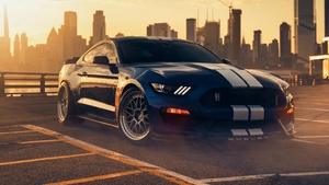 Ford Mustang Shelby GT350, Performance Sedan, 4K wallpaper