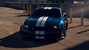 Ford Mustang Shelby GT350, Muscle cars, 4K wallpaper