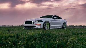 Ford Mustang GT, 4K wallpaper