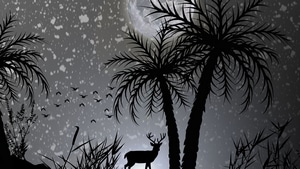 Reindeer, Deer, Dark, Moon, Minimalism, Minimalist, Monochrome, Black And White, 4K wallpaper