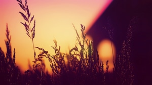 Sunset, Blur, Silhouette, Nature, Photography, 4K wallpaper