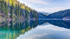 Reflection, Trees, Nature, 4K wallpaper