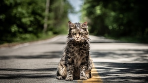 Pet Sematary, 2019 Movies, Movies, 4K wallpaper