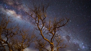 Milky Way, Universe, Photography, Digital Universe, Scifi, 4K wallpaper