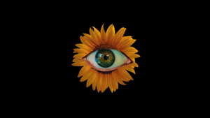 Sunflower, Weirdcore, Eye, Black background, AMOLED, 4K wallpaper