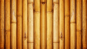 Bamboo, Wall, Pattern, 4K wallpaper