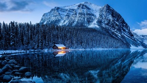 Lake Louise, Winter forest, Cold, Reflections, Pine trees, Frozen, Snow covered, Banff National Park, Canada, Wilderness, 4K wallpaper
