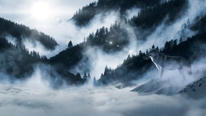 Arctic wolf, Winter, White wolf, Sunny day, Winter forest, Foggy, Mountains, 4K wallpaper