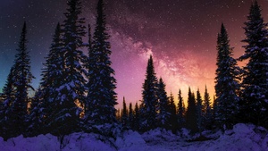 Winter, Milky Way, Snow covered, Pine trees, Sunset, 4K wallpaper