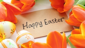 Happy Easter, Tulips, Easter eggs, Orange flowers, 4K wallpaper