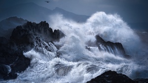 Stormy, Waves, Rocky coast, Dramatic, Seascape, Seabirds, Coastal, Dark, 4K wallpaper