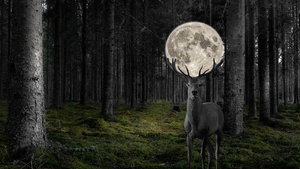 Deer, Moon, Surreal, Forest, Monochrome, Black and White, 4K wallpaper